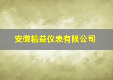 安徽精益仪表有限公司