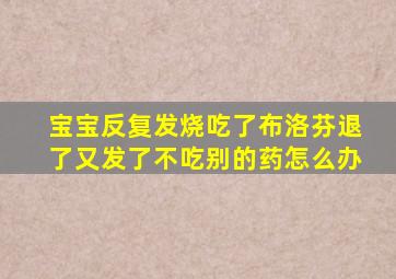 宝宝反复发烧吃了布洛芬退了又发了不吃别的药怎么办