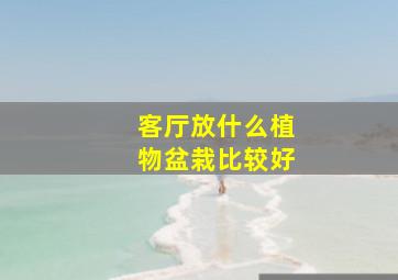 客厅放什么植物盆栽比较好