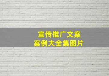 宣传推广文案案例大全集图片