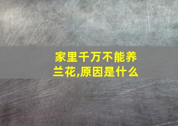 家里千万不能养兰花,原因是什么