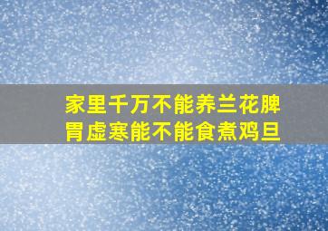 家里千万不能养兰花脾胃虚寒能不能食煮鸡旦