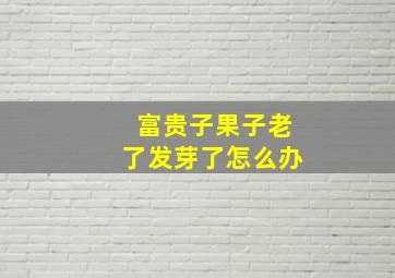 富贵子果子老了发芽了怎么办