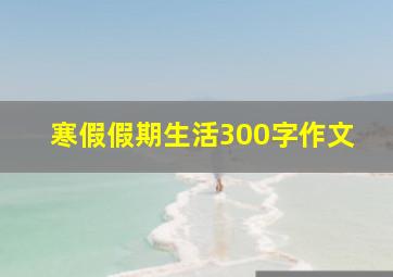 寒假假期生活300字作文