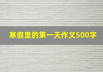 寒假里的第一天作文500字