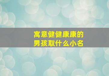 寓意健健康康的男孩取什么小名