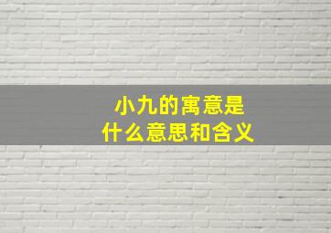 小九的寓意是什么意思和含义