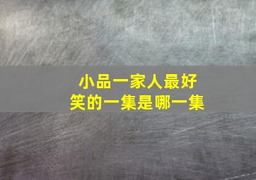 小品一家人最好笑的一集是哪一集