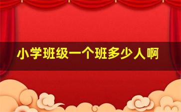 小学班级一个班多少人啊