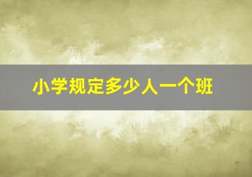 小学规定多少人一个班