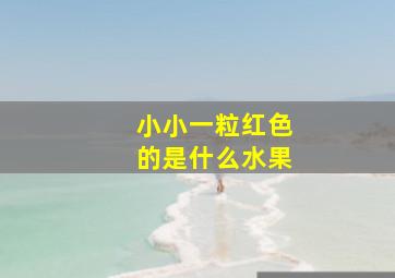 小小一粒红色的是什么水果