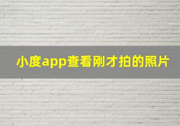 小度app查看刚才拍的照片