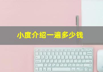 小度介绍一遍多少钱