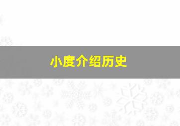 小度介绍历史