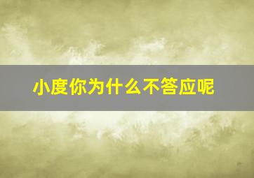 小度你为什么不答应呢