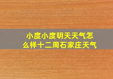 小度小度明天天气怎么样十二周石家庄天气