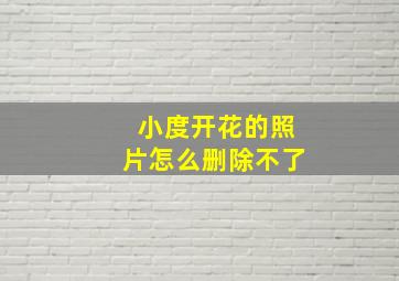 小度开花的照片怎么删除不了