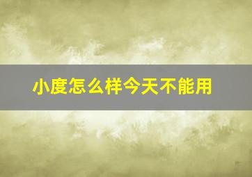 小度怎么样今天不能用