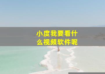 小度我要看什么视频软件呢