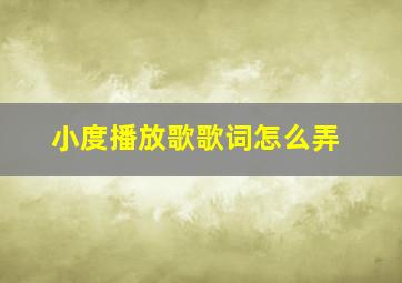 小度播放歌歌词怎么弄