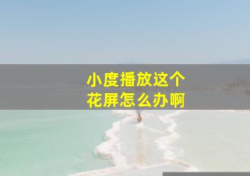 小度播放这个花屏怎么办啊