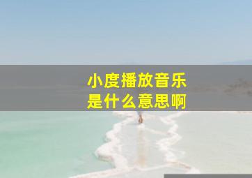 小度播放音乐是什么意思啊