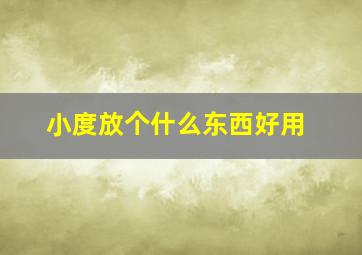 小度放个什么东西好用