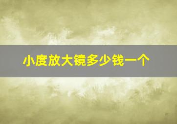 小度放大镜多少钱一个