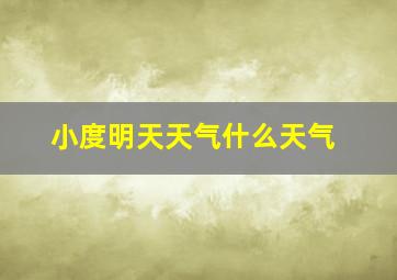 小度明天天气什么天气