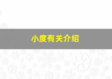 小度有关介绍