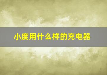 小度用什么样的充电器