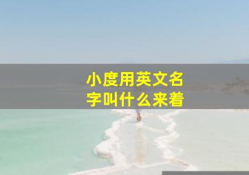 小度用英文名字叫什么来着