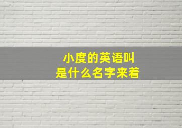 小度的英语叫是什么名字来着