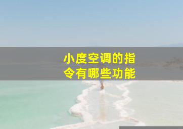 小度空调的指令有哪些功能