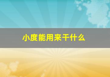 小度能用来干什么