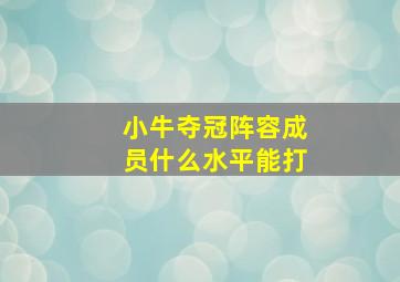 小牛夺冠阵容成员什么水平能打