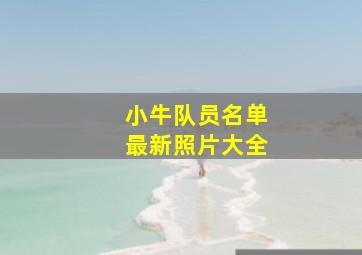 小牛队员名单最新照片大全