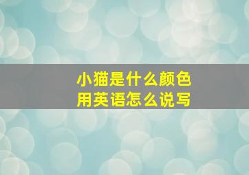 小猫是什么颜色用英语怎么说写