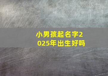 小男孩起名字2025年出生好吗