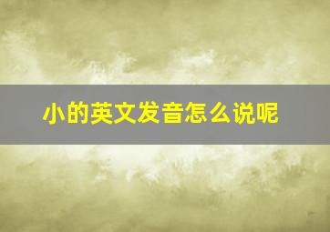 小的英文发音怎么说呢