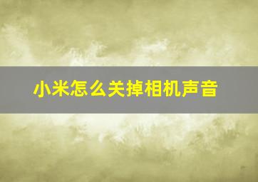 小米怎么关掉相机声音