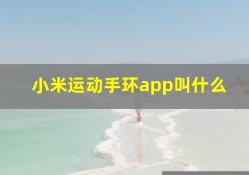 小米运动手环app叫什么