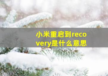 小米重启到recovery是什么意思