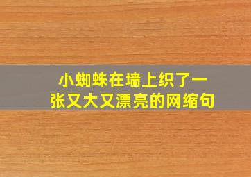 小蜘蛛在墙上织了一张又大又漂亮的网缩句