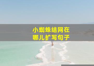 小蜘蛛结网在哪儿扩写句子