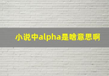 小说中alpha是啥意思啊