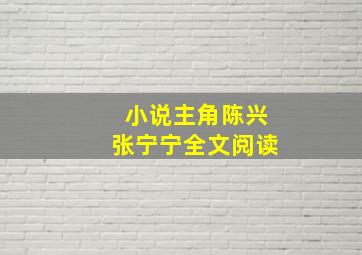 小说主角陈兴张宁宁全文阅读