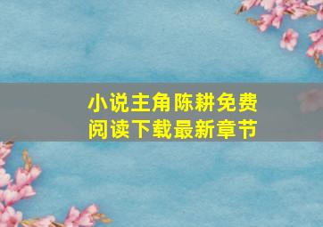 小说主角陈耕免费阅读下载最新章节