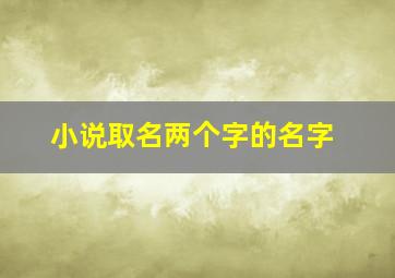 小说取名两个字的名字