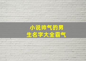 小说帅气的男生名字大全霸气